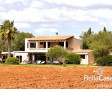 SMALL RANCH: Wild-romantic private finca with natural ambience, fountain and relax windmill pool
