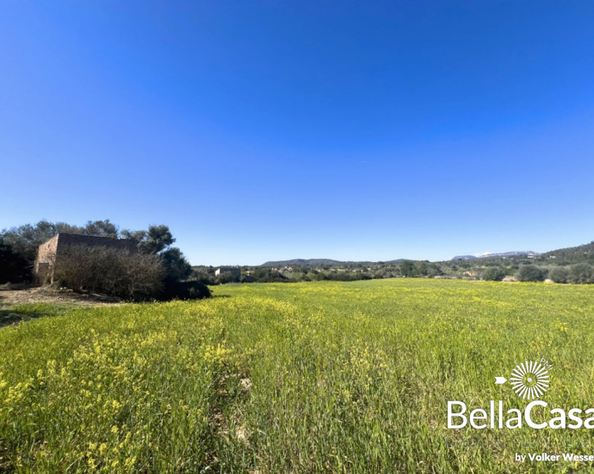 Finca building plot in an enchanting private location near Porreres